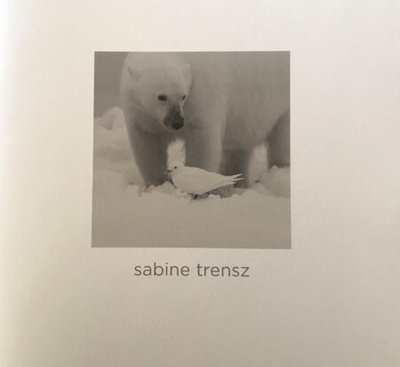 Sabine Trenz